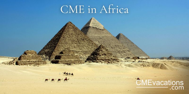Pyramids of Giza with camels in the foreground under a clear blue sky