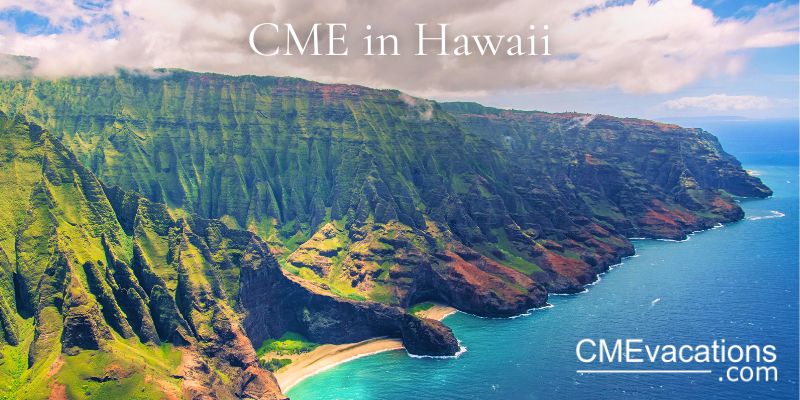 Aerial view of the Na Pali coast on Kauai Island, Hawaii, with lush greenery and blue ocean waters.