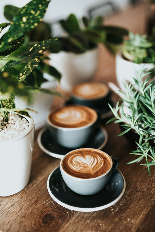 Does Coffee Prevent Recurrence of Atrial Fibrillation?