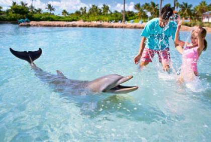 Atlantis Bahamas CME continuing medical education hospital medicine dolphin experience