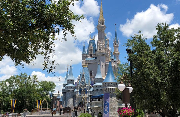 Orlando Florida CME continuing medical education Disney World Sea World Universal Studios