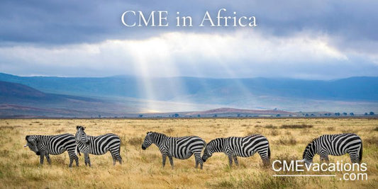 Zebras grazing in a grassy field with a rainbow in the background