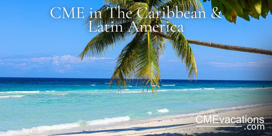 A tropical beach scene with a palm tree overhanging a white sandy beach and clear blue ocean in the background.