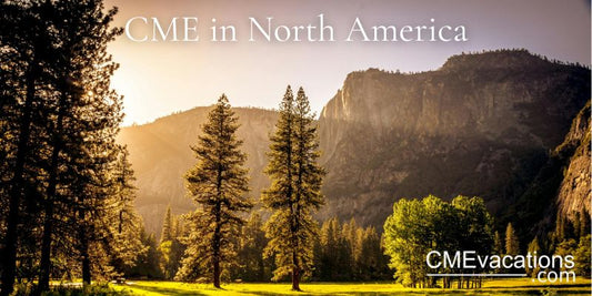 Sunlit forest meadow framed by tall pine trees and mountain cliffs