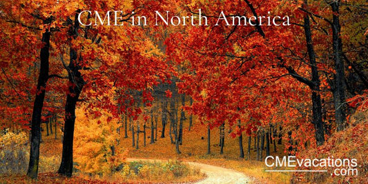 Autumnal scene with a path lined by trees with red and orange leaves.